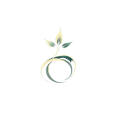 Seedance
